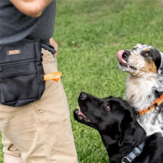 Mighty Paw Dog Treat Pouch | Magnetic Closure, Poop Bag Holder, Hands-Free image {3}