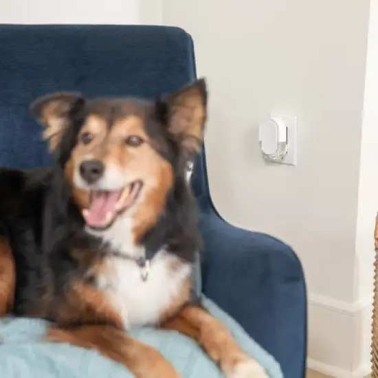 Febreze Odor-Fighting Fade Defy Plug Air Freshener Refill - Gain Original Scent image {5}