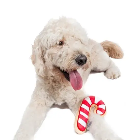 Midlee Christmas Sugar Cookie Plush Dog Toy- Candy Cane image {3}