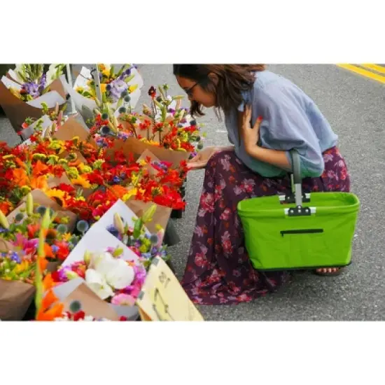 Rsvp Market Basket - Green image {11}