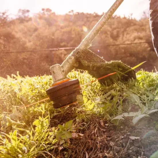 Worx WA0205 197' x 0.095" Trimmer Line image {3}