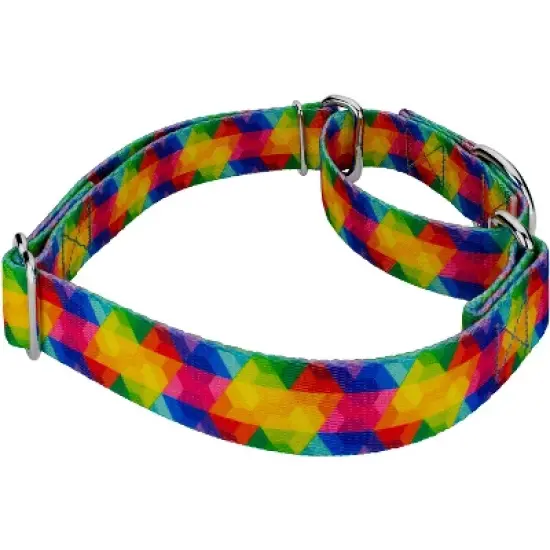 Country Brook Petz Kaleidoscope Martingale Dog Collar image {2}