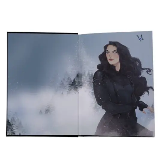 Quicksilver (Deluxe Limited Edition) - (Fae & Alchemy) by  Callie Hart (Hardcover) image {2}