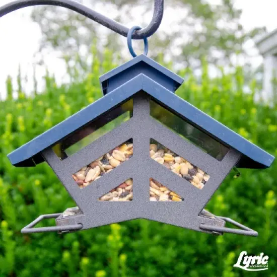 Lyric Fruit and Nut Wild Bird Seed - High Energy Wild Bird Food Mix - Attracts Woodpeckers, Chickadees & Other Songbirds -5 lb. Bag image {8}