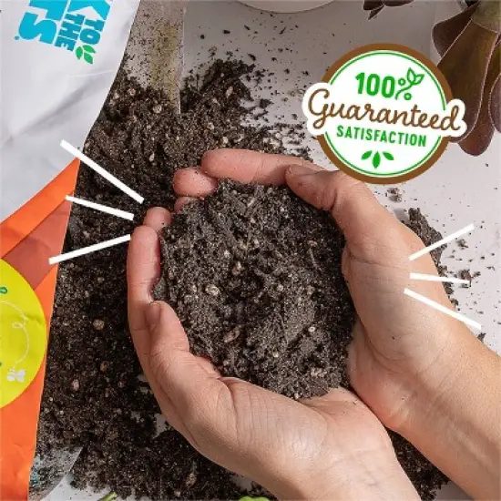 Back to the Roots 6qt Organic Succulents & Cacti Mix Specialty Blend: Fast Draining, pH Balanced image {6}