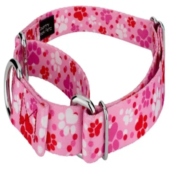 Country Brook Design Puppy Love Martingale Dog Collar image {1}
