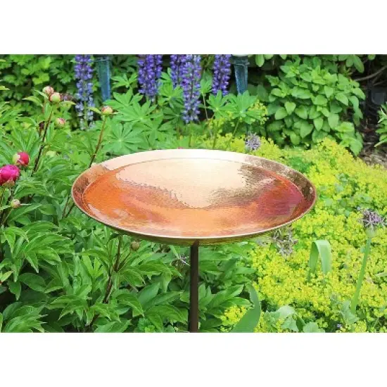 36" Iron and Stainless Steel Birdbath Bowl with Stake Brown - ACHLA Designs: Weather-Resistant, Freestanding Outdoor Garden Decor image {1}