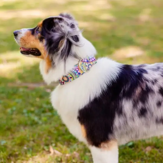 Country Brook Petz Yellow Boho Mandala Martingale Dog Collar image {1}