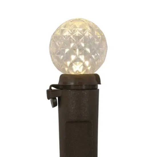 Northlight LED G12 Berry Christmas Lights - Warm White - 16' Brown Wire - 50 ct image {3}