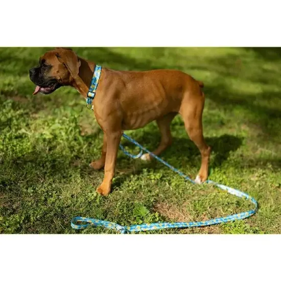 Country Brook Petz Deluxe Just Ducky Dog Leash image {4}