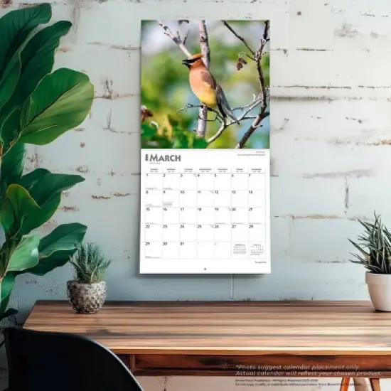 BrownTrout Songbirds 2026 12"x24" Hanging Square Wall Calendar Plastic-Free image {4}