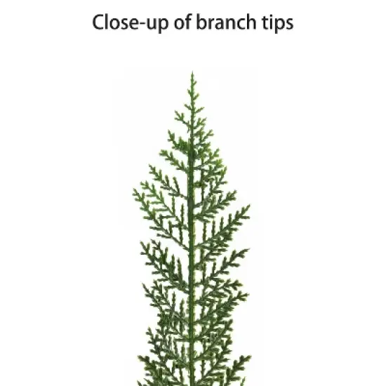 Puleo 9' Pre-Lit Artificial Cypress Christmas PE Tree with LED Rice Lights image {6}
