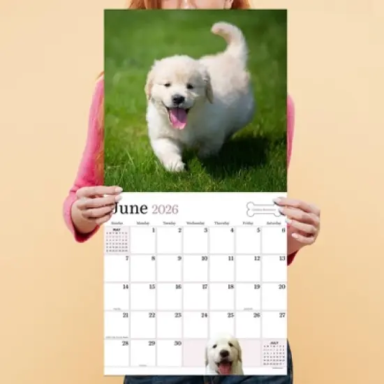TF Publishing 13.5"x14.5" 2026 Puppies Wall Calendar image {3}