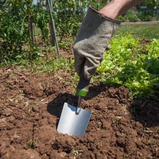 2-Piece Garden Tool Set - Hand Trowel and Hand Scoop - Ames image {3}