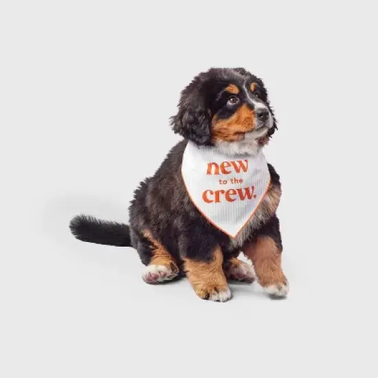 Reversible Dog Bandana - Boots & Barkley&trade; One Size Fits Most image {3}