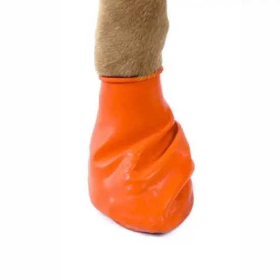Pawz 12pc Rubber Dog Boots image {4}