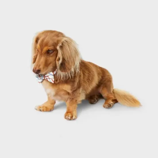 Multistripe Dog and Cat Bowtie - Boots & Barkley&trade; One Size Fits Most image {3}