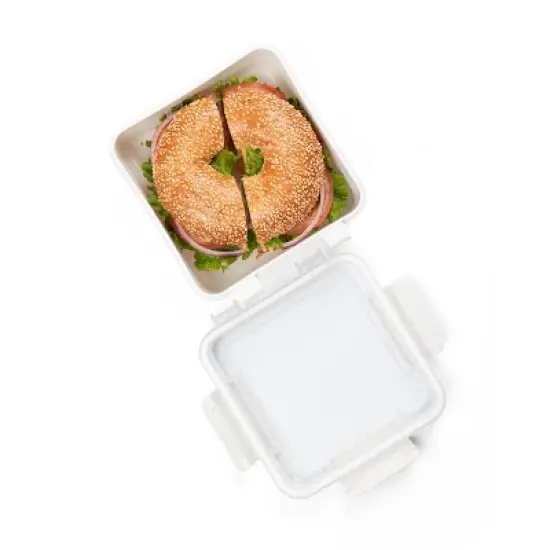 SnapLock Internat Large Sandwich To Go Food Storage Container image {3}