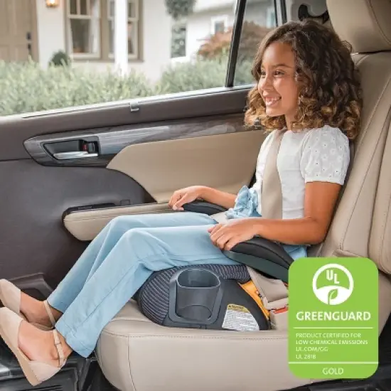 Chicco GoFit ClearTex Plus Backless Booster Car Seat - Tropic image {5}