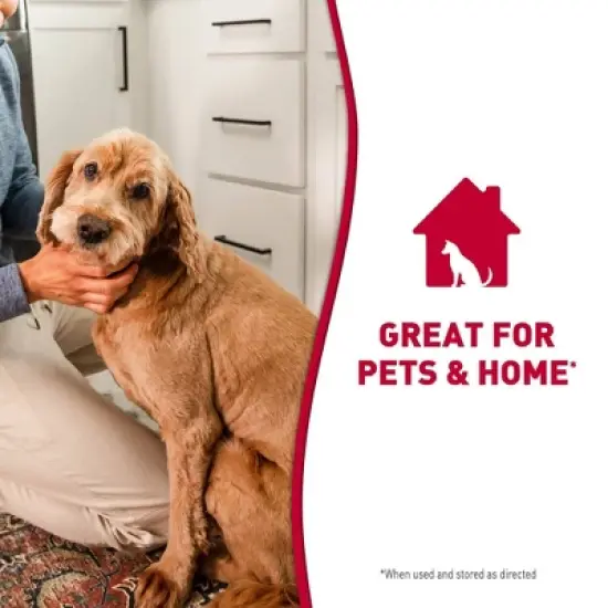 Nature's Miracle Dog Stain and Odor Remover Foam 17.5oz image {7}