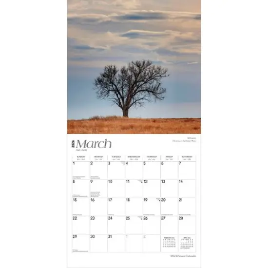 BrownTrout Colorado Wild and Scenic 2026 12"x24" Hanging Square Wall Calendar Plastic-Free image {2}