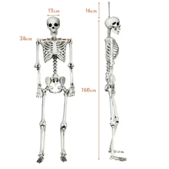 Costway Halloween Skeleton Life Size Realistic Full Body Hanging with Movable Joints image {2}