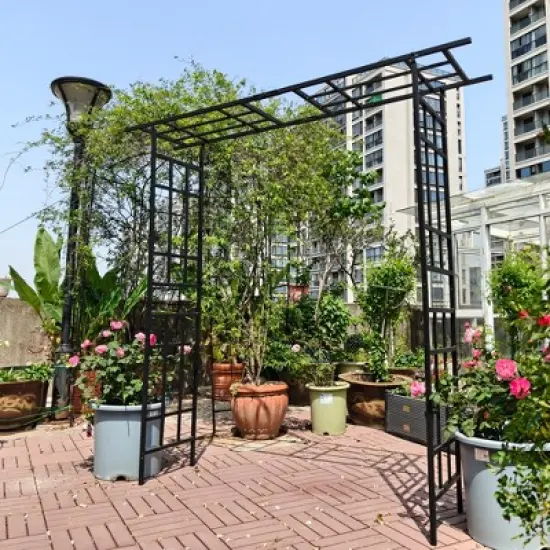 Dolonm Metal Garden Arch with Gate Climbing Plants Support Rose Arch Outdoor Black image {4}