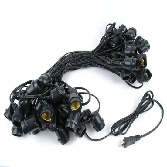 Novelty Lights Edison Outdoor String Lights with 50 In-Line Sockets Black Wire 100 Feet image {2}