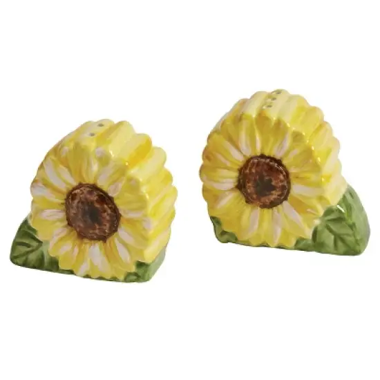 Park Designs Follow The Sun Salt And Pepper Set image {3}