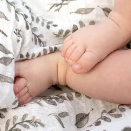 Bebe au Lait Muslin Swaddle Blanket Set image {3}