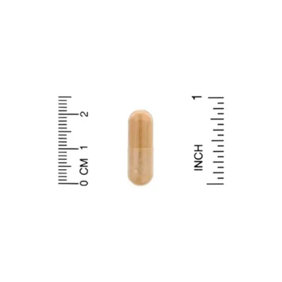 Organic India Ceylon Cinnamon, 90 Vegetarian Caps (325 mg per Capsule) image {2}