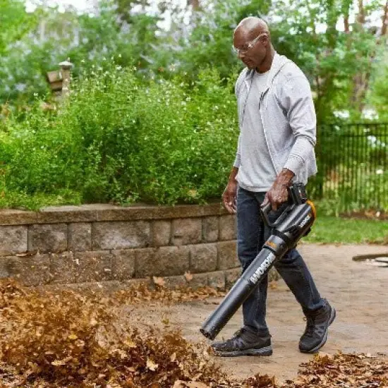 Worx WG547.1 Turbine Two Speed Cordless Leaf Blower image {2}
