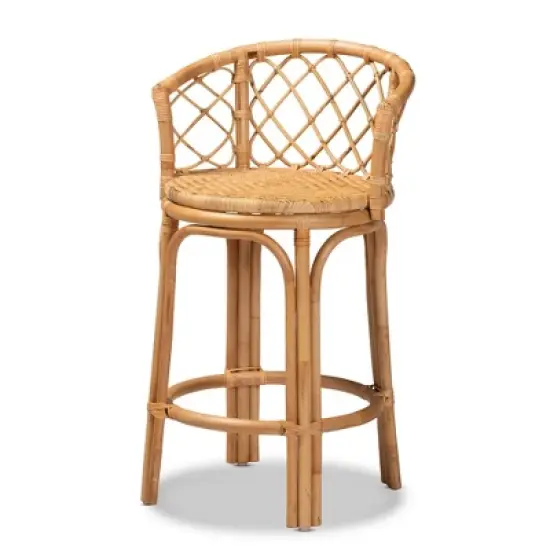 Orchard Rattan Counter Height Barstool Natural/Brown - bali & pari image {1}
