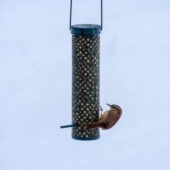 C & S Woodpecker Suet Nuggets Wild Bird Food, Resealable Bag, 27 oz image {3}