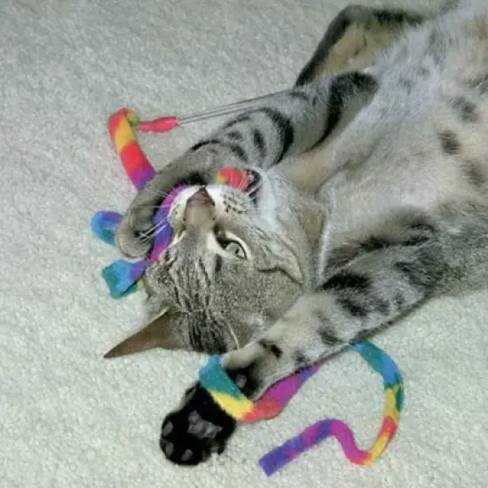 3-Pack Rainbow Cat Dancer-Cat Charmer Wand,Teaser-Cat & Kitten Toy! image {4}