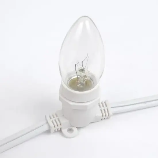 Novelty Lights Globe Outdoor String Lights with 25 In-Line Sockets White Wire 25 Feet image {5}