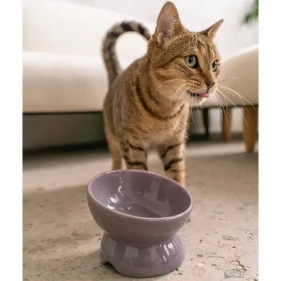 Dexypaws: Elevated Ceramic Cat Bowl, Lilac Ash, 7oz, Pet Feeding Dish image {2}