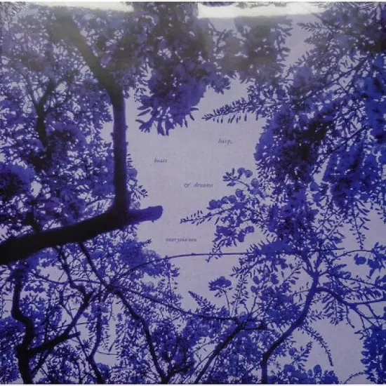 Marysia Osu - harp, beats & dreams (Vinyl) image {1}