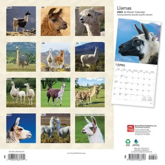 Browntrout 2024 Wall Calendar 12"x12" Llamas image {1}