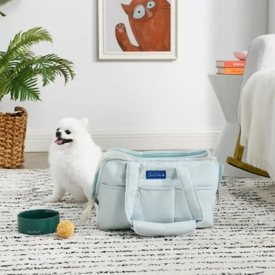 Teddy 14.5'' Dog & Cat Carrier Bag in Light Blue image {8}