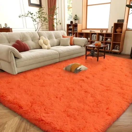 LOVEVOOK Area Rugs for Living Room Bedroom, Fluffy Shag Rugs, Modern Indoor Floor Carpet for Home Decor Aesthetic 4x6 Feet image {4}