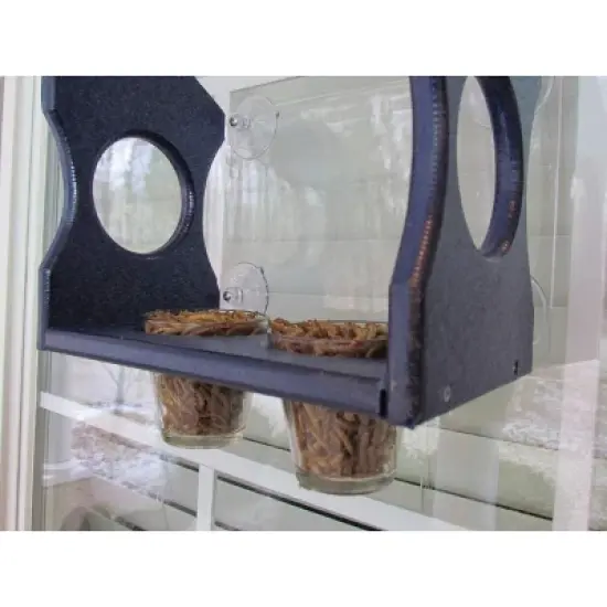 JCs Wildlife Window Mount Bluebird Mealworm Feeder image {3}