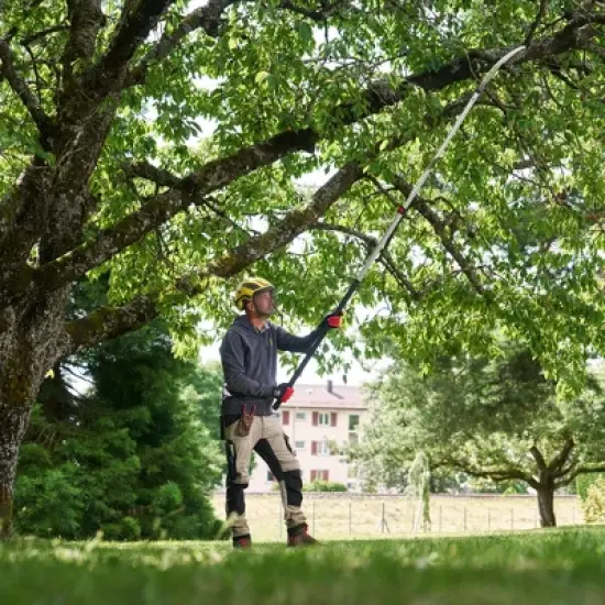 FELCO 682, 13in. Impulse Hardended Curved Blade, 11ft Extendable Pole Saw, Ultra Light Aluminum image {3}