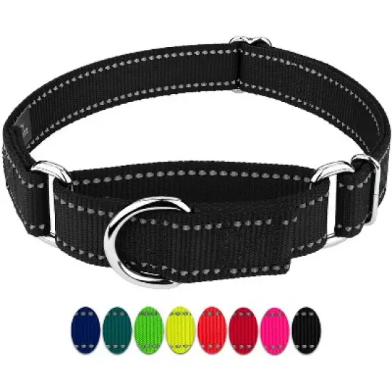 Country Brook Petz Reflective Nylon Martingale Dog Collar image {4}