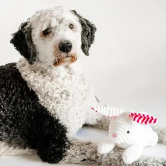 Midlee Stripe Ears White Easter Rabbit Dog Toy image {3}