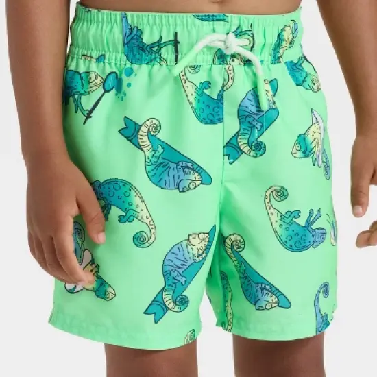 Toddler Boys' Ombre Chameleon Swim Shorts - Cat & Jack&trade; Green image {1}