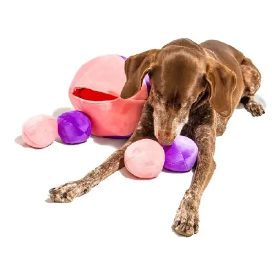 Midlee Hide a Ball Dog Toy - Pink/Purple image {7}