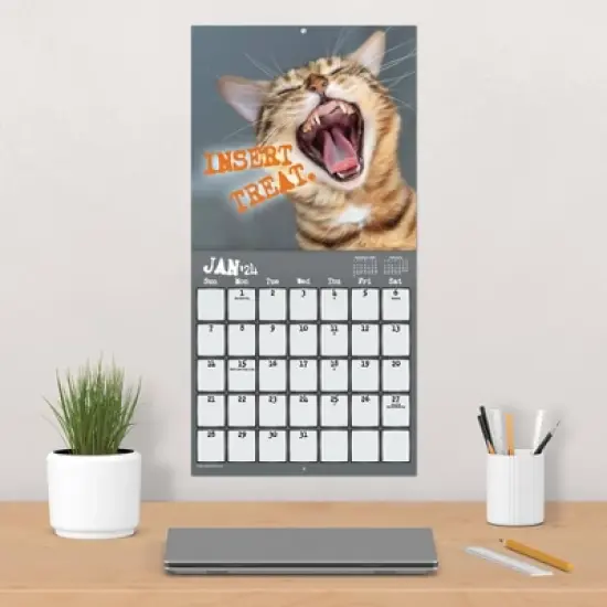 Trends International Inc. 2023-24 Wall Calendar 12"x12" Snarcatstic image {4}