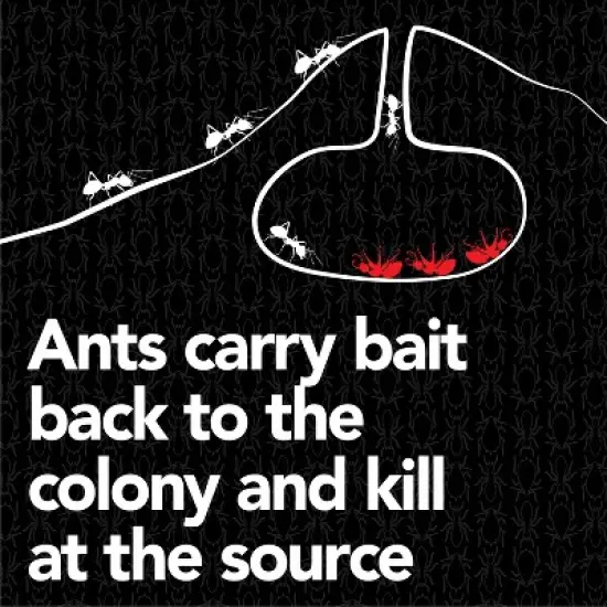 Raid Max Liquid Ant Baits Insecticides - 8ct image {4}