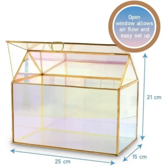 D'Eco Iridescent Glass House Planter Terrarium (10x6x8)- Tabletop Gold Geometric Terrarium - Home, Garden, Office Decor - Gift for Plant Lovers image {3}